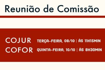 Reunião das Comissões