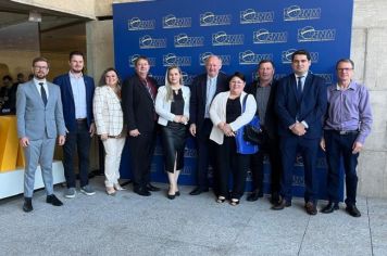 Vereador Cerineu José Mantovani viaja a Brasília