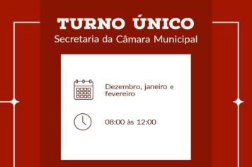 Turno Único