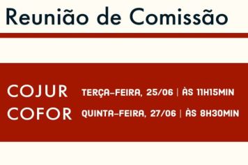 Reunião de Comissão