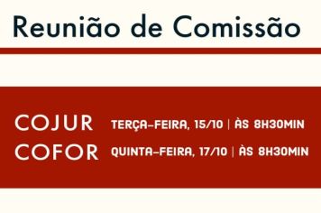 Reunião das Comissões