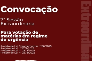 7ª Sessão Extraordinária