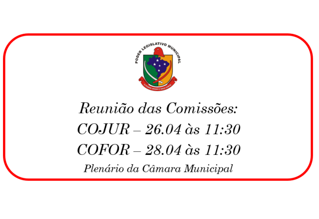 Reunião das Comissões